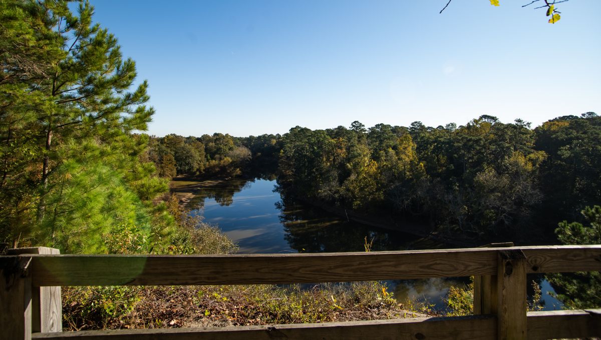 Picnic Spots in NC State Parks & Natural Areas